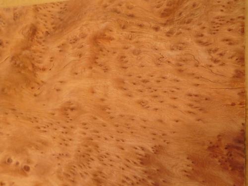 21 Redwood burl 3