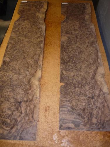 7 American Walnut Burl 4